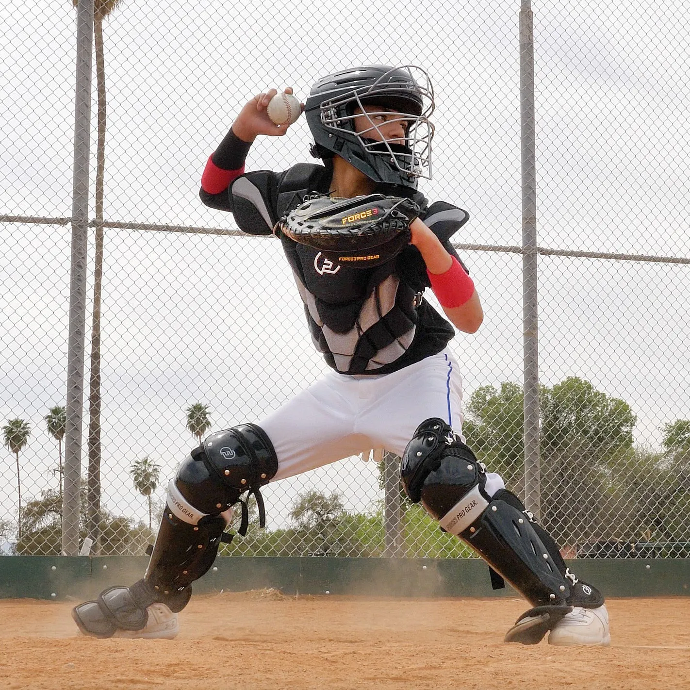 Force3 Catcher's Leg Guards with Dupont Kevlar: BC8